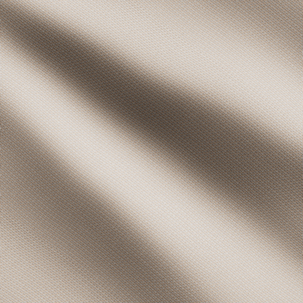 Michelangelo-Parchment